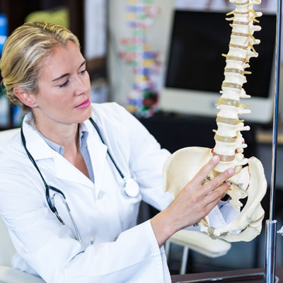 a female doctor holding a spinal skeleton model