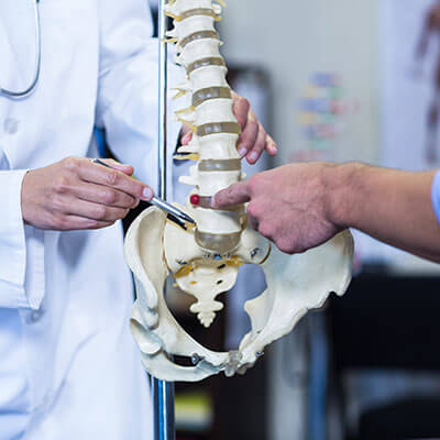 physiotherapist showing the spine model to patient