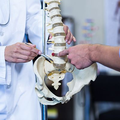 a doctor holding a spinal skeleton model